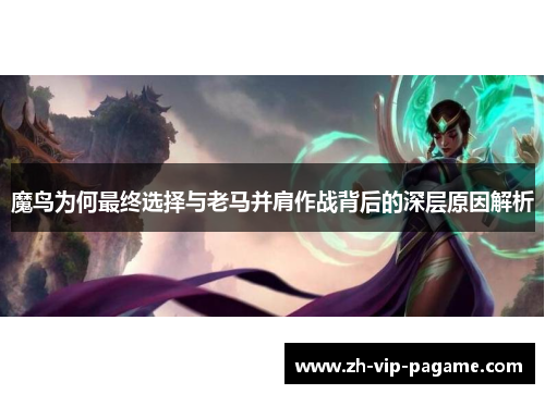 魔鸟为何最终选择与老马并肩作战背后的深层原因解析